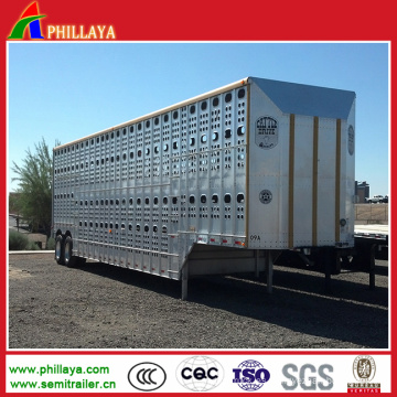 Ganado Animal Carrier Semirremolque Caja de aluminio Ovejas Remolque de ganado